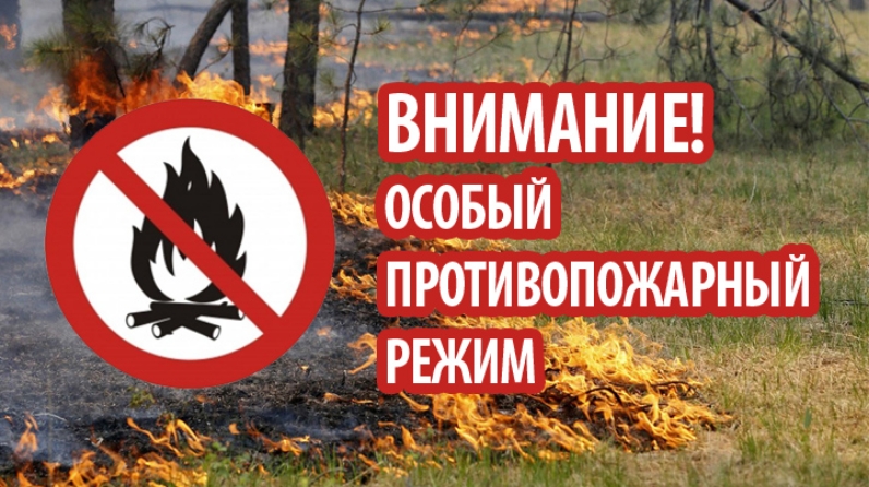 С 14 апреля распоряжением Правительства Новгородской области на территории области вводится особый противопожарный режим.