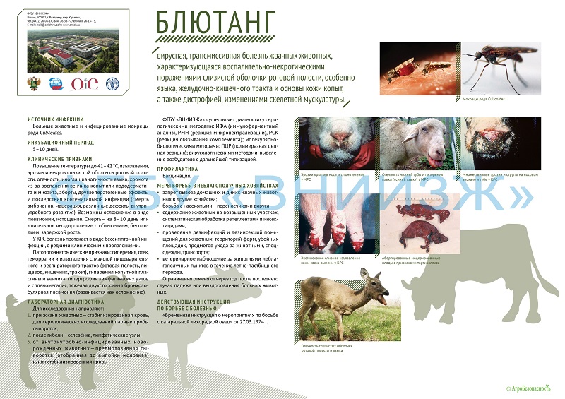 Боровичская районная ветеринарная станция информирует!.
