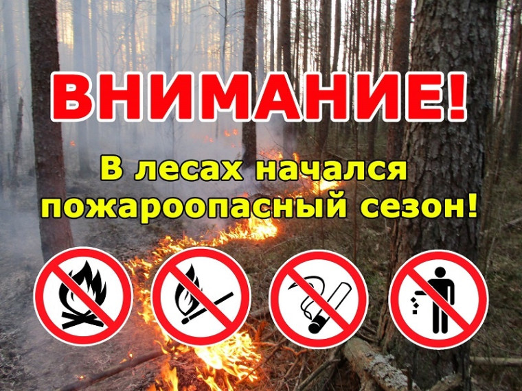 с 16 мая 2023 года распоряжением Правительства Новгородской области от 15.05.2023 № 236-рг на территории Новгородской области действует ОСОБЫЙ ПРОТИВОПОЖАРНЫЙ РЕЖИМ на землях лесного фонда, расположенных территории Новгородской области. с 16 мая 2023 года распоряжением Правительства Новгородской области от 15.05.2023 № 236-рг на территории Новгородской области действует ОСОБЫЙ ПРОТИВОПОЖАРНЫЙ РЕЖИМ на землях лесного фонда, расположенных территории Новгородской области.
